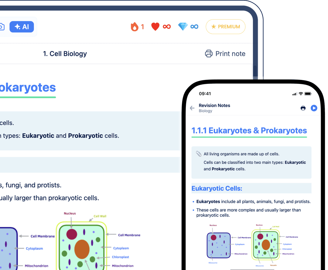 Schools Notes Showcase